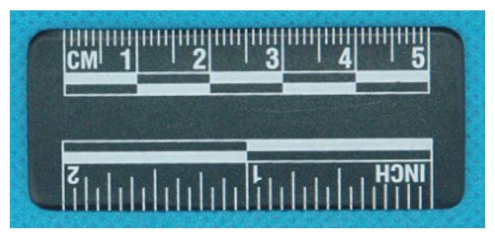 5厘米黑色磁性比例尺