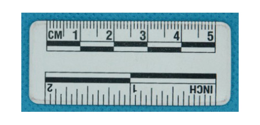 5厘米白色磁性比例尺